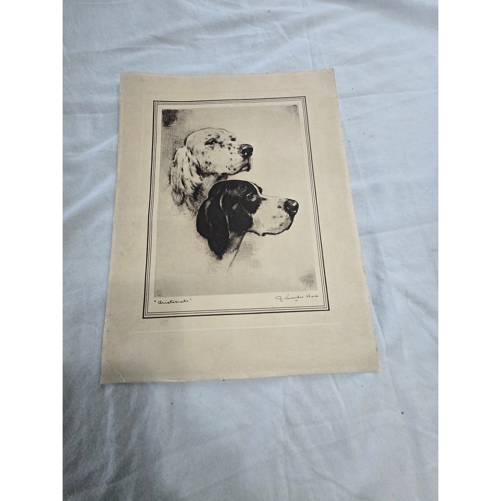 Vintage J Knowles Hare Aristocrats Hunting Dog Lithograph Print English Setter